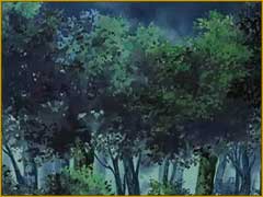 Trees